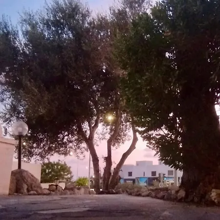 House In Tomb Of The Kings * Paphos